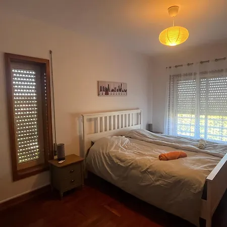 Appartamento Big And Luminous 4-room *